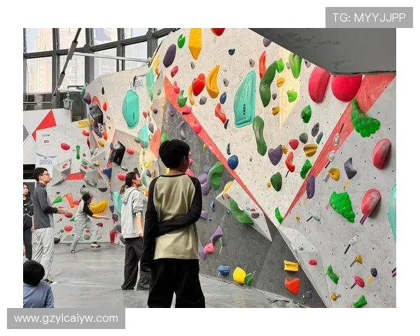 西安攀岩队在攀岩心理素质排行榜中荣获第九名的佳绩分析